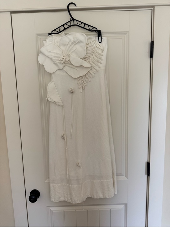 FARM Rio Dresses & Skirts - FARM Rio Ivory Floral Appliqué Midi Dress